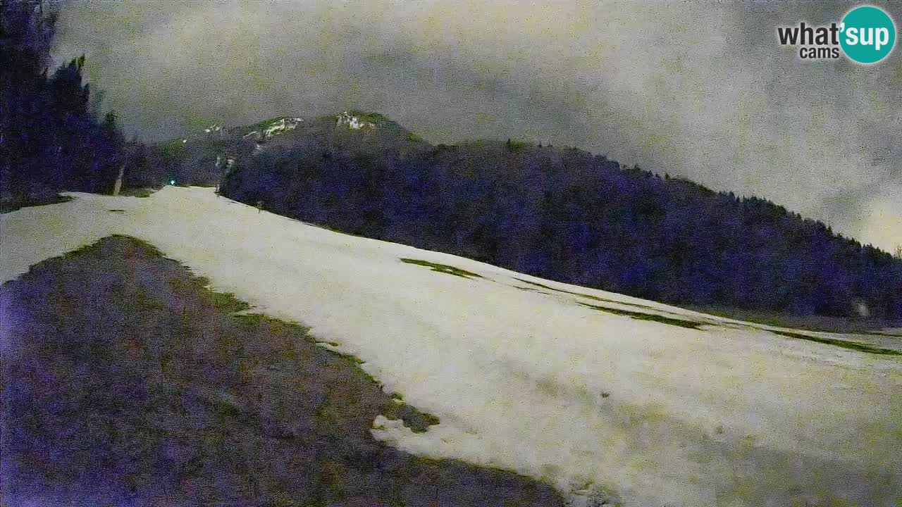 RTC Skigebiet Kranjska Gora | Brsnina