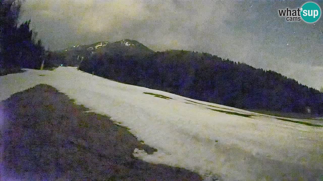 RTC Kranjska Gora | Brsnina