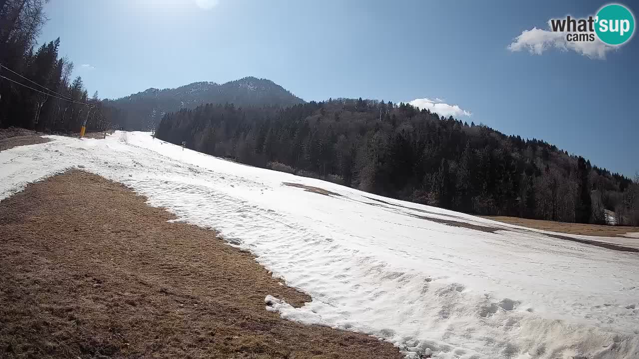 Comprensorio sciistico Kranjska Gora | Brsnina