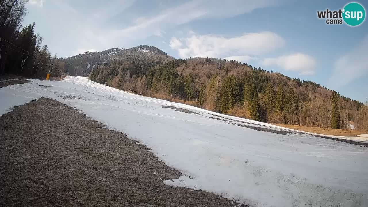 RTC Skigebiet Kranjska Gora | Brsnina