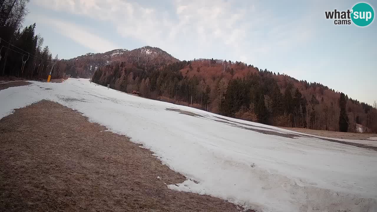 Ski Kranjska Gora | Brsnina