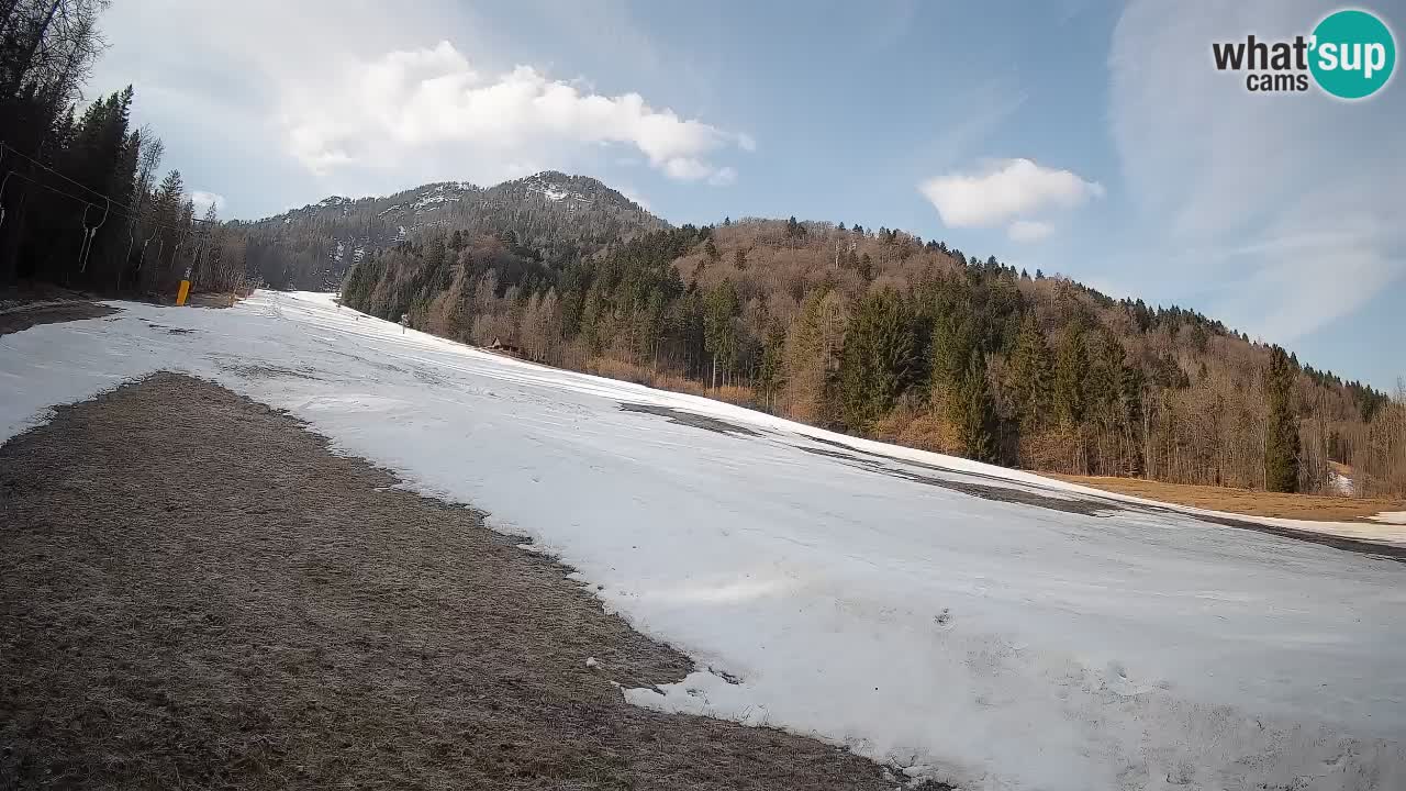 Ski Kranjska Gora | Brsnina
