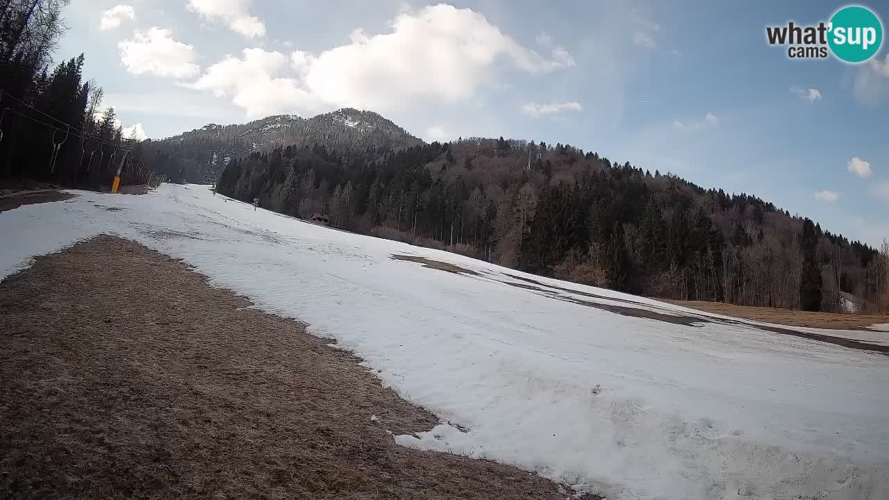 RTC Kranjska Gora | Brsnina