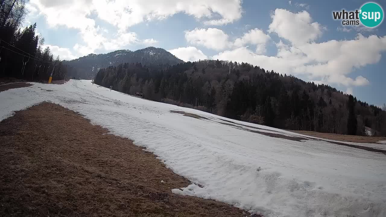 Ski Kranjska Gora | Brsnina