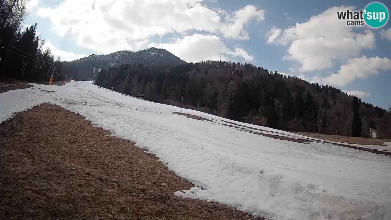 Kranjska Gora Station de ski | Brsnina