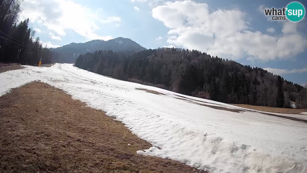 Kranjska Gora SKIJANJE | Brsnina