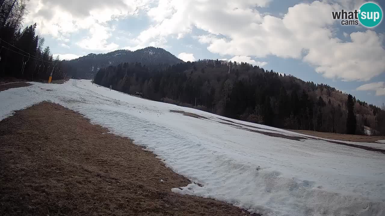 RTC Skigebiet Kranjska Gora | Brsnina