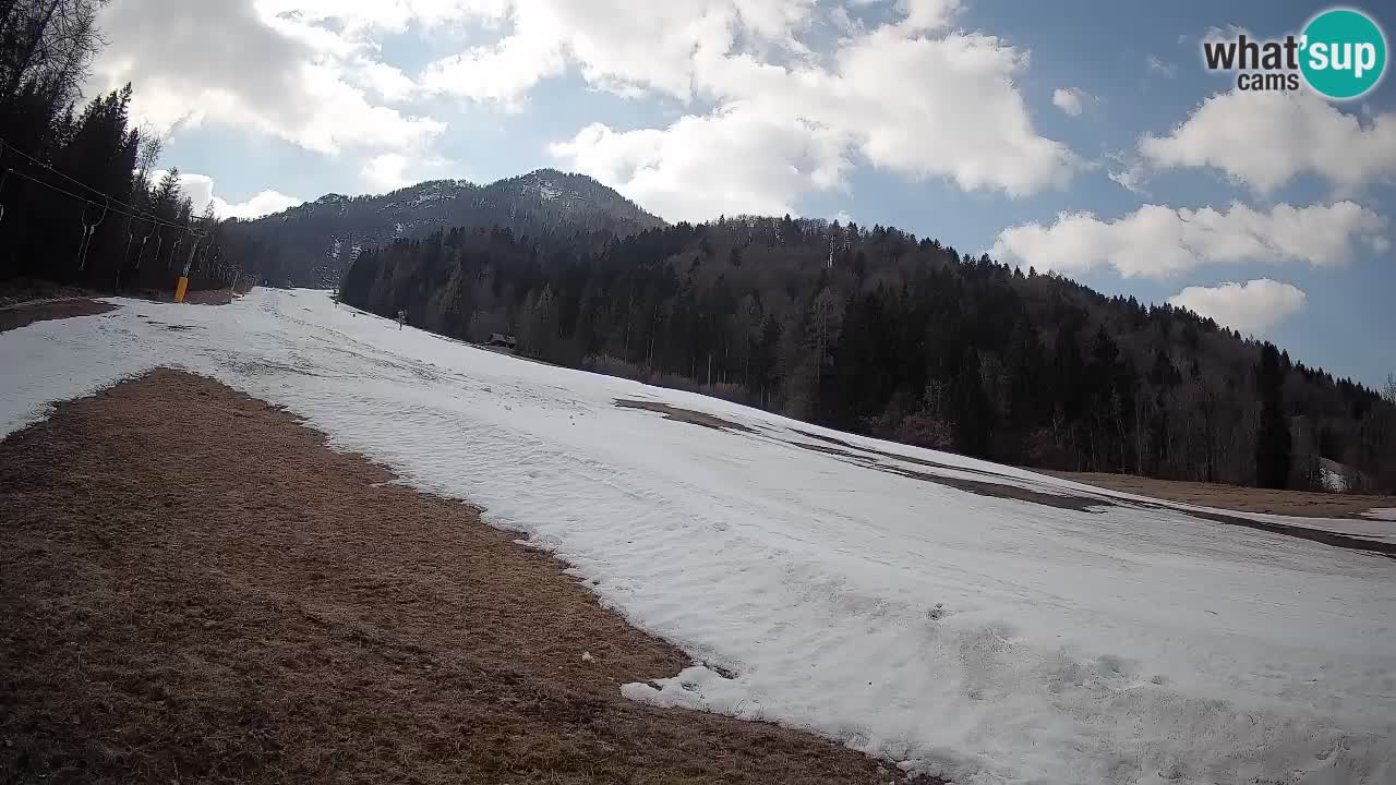 RTC Kranjska Gora | Brsnina