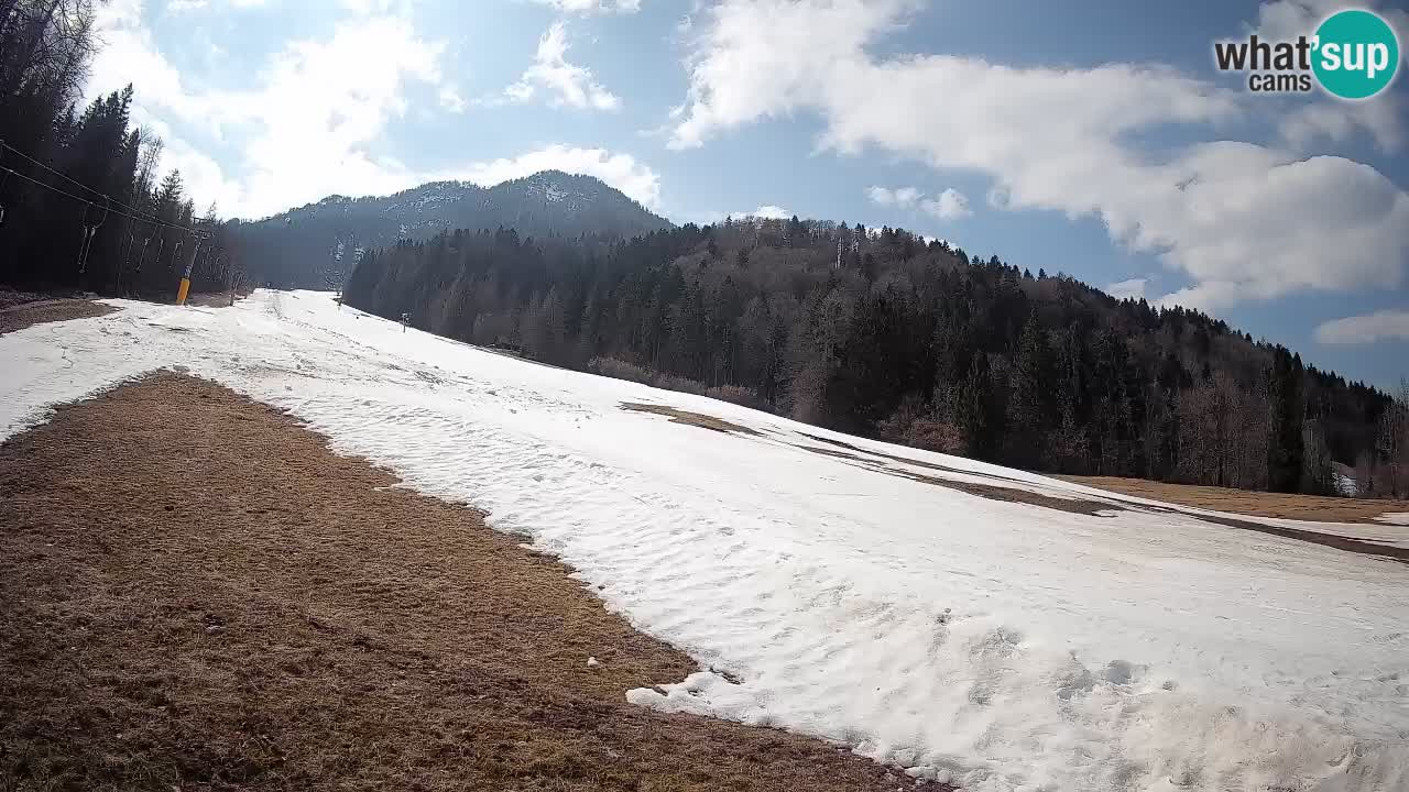 RTC Skigebiet Kranjska Gora | Brsnina