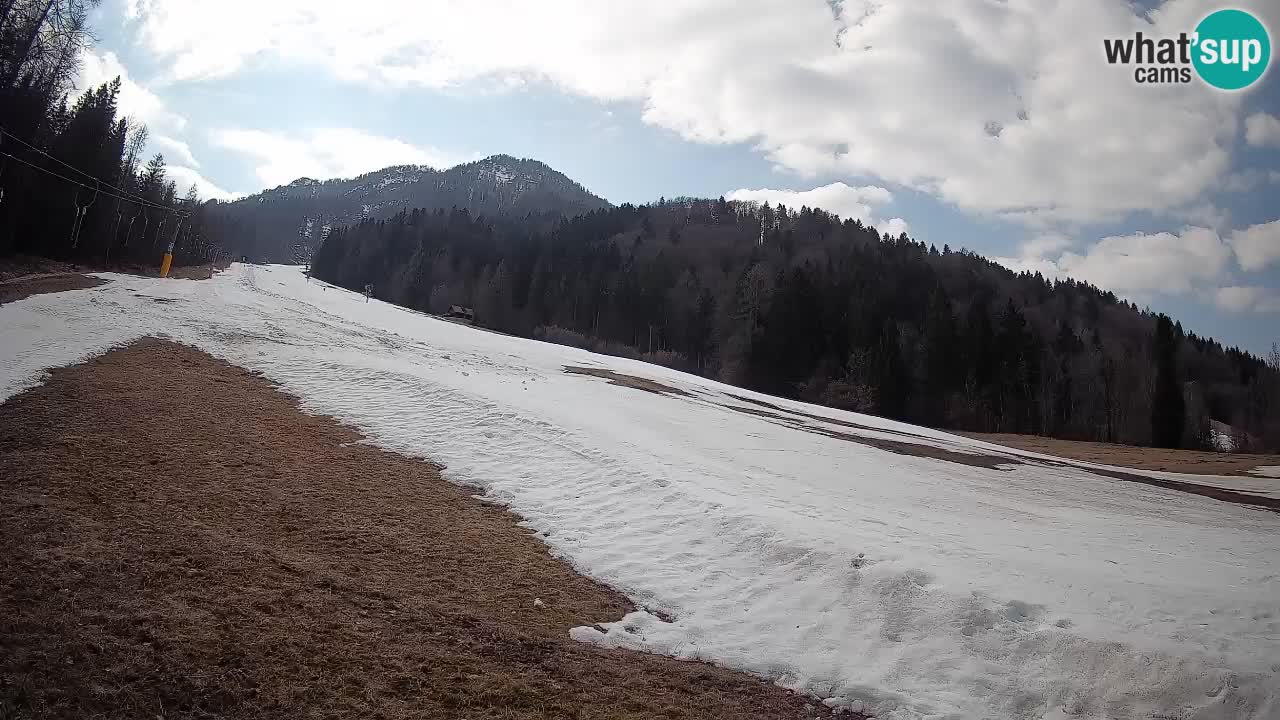 Esquí Kranjska Gora | Brsnina