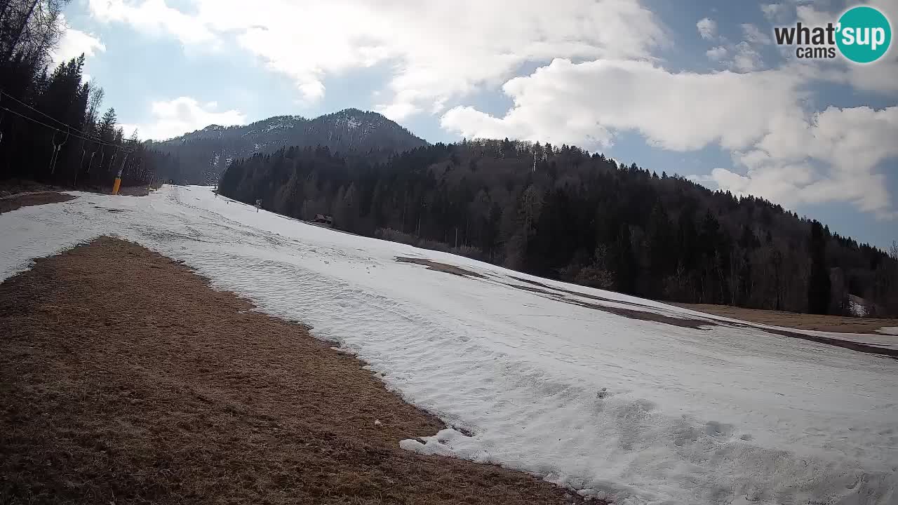 RTC Skigebiet Kranjska Gora | Brsnina