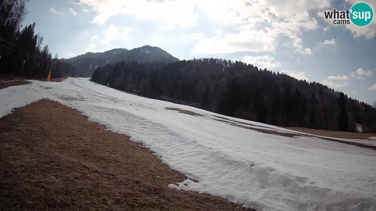Kranjska Gora Station de ski | Brsnina