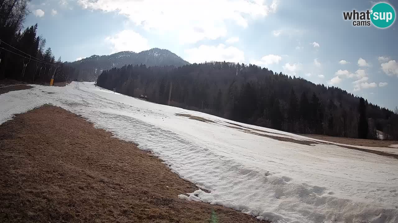 Kranjska Gora Station de ski | Brsnina