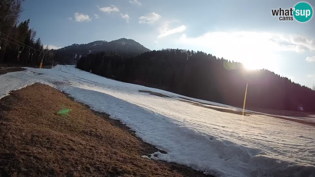 Kranjska Gora Station de ski | Brsnina