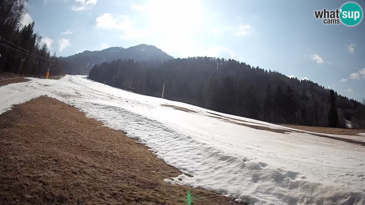 RTC Skigebiet Kranjska Gora | Brsnina