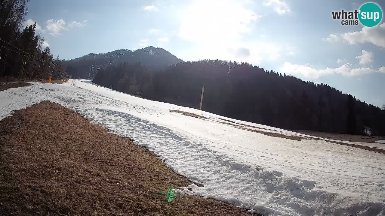 Ski Kranjska Gora | Brsnina