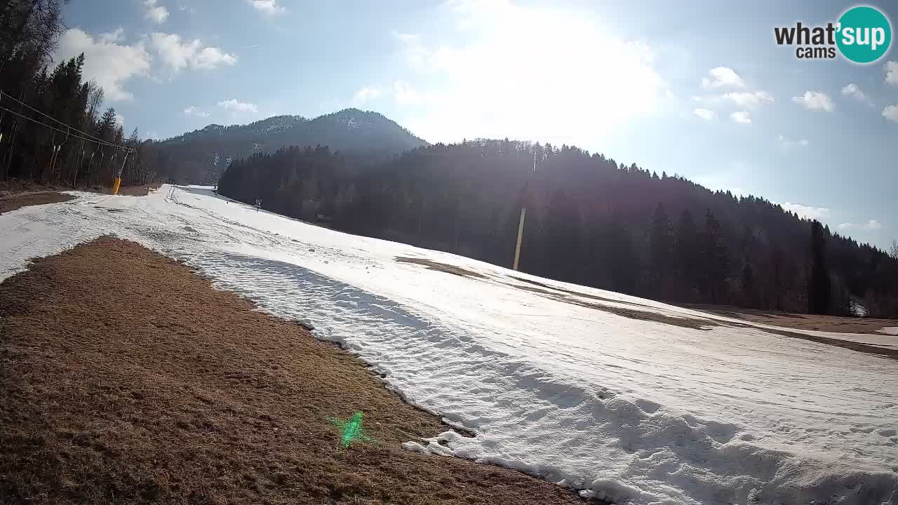 Kranjska Gora Station de ski | Brsnina