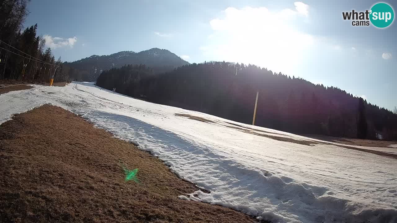 RTC Skigebiet Kranjska Gora | Brsnina
