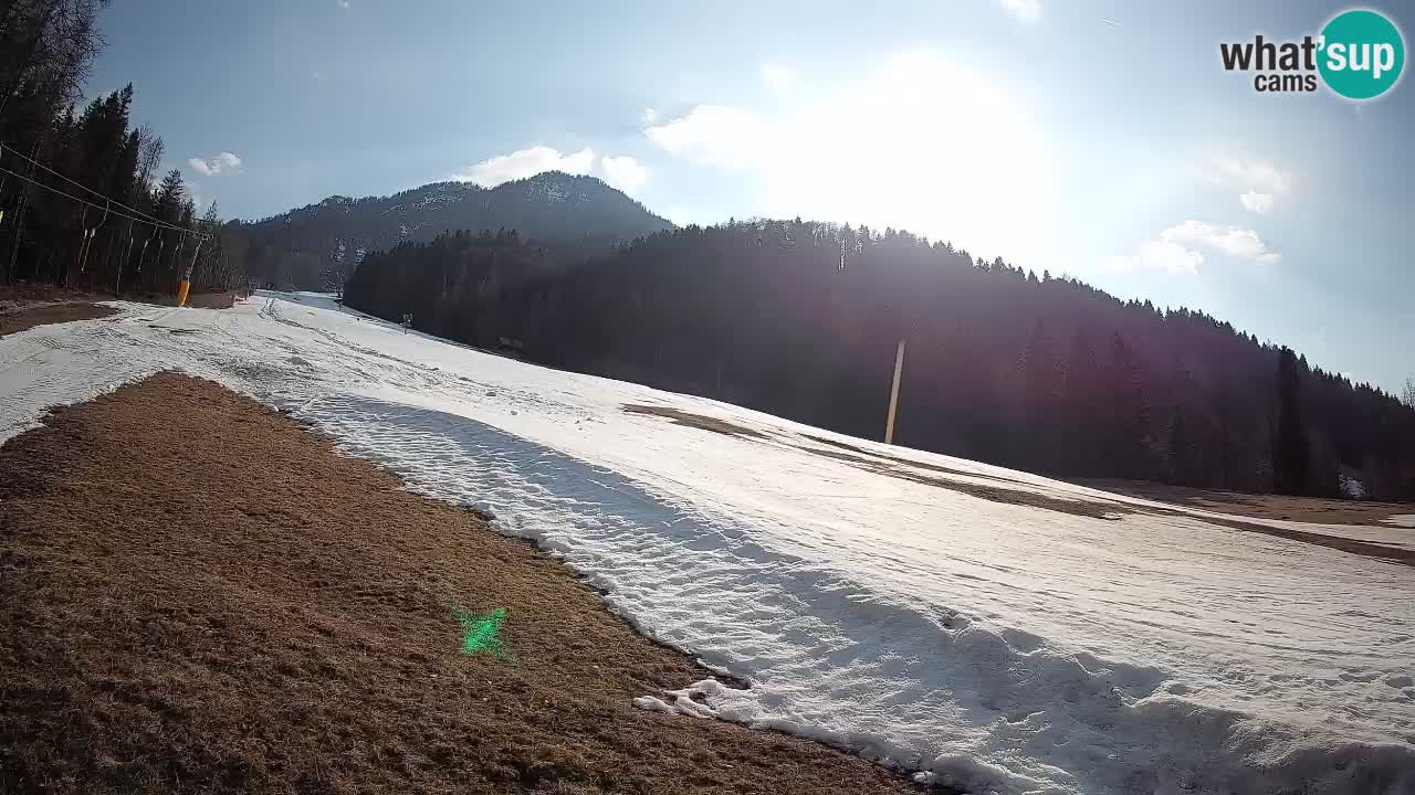Kranjska Gora Station de ski | Brsnina