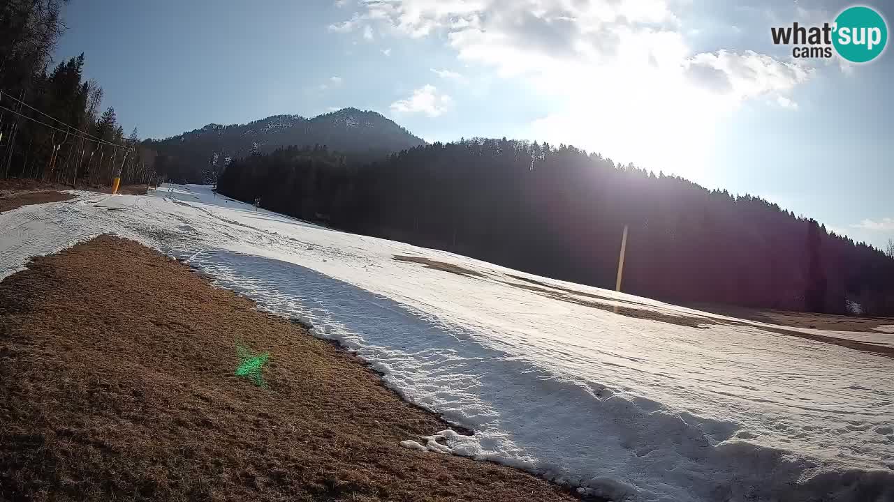 Kranjska Gora SKIJANJE | Brsnina