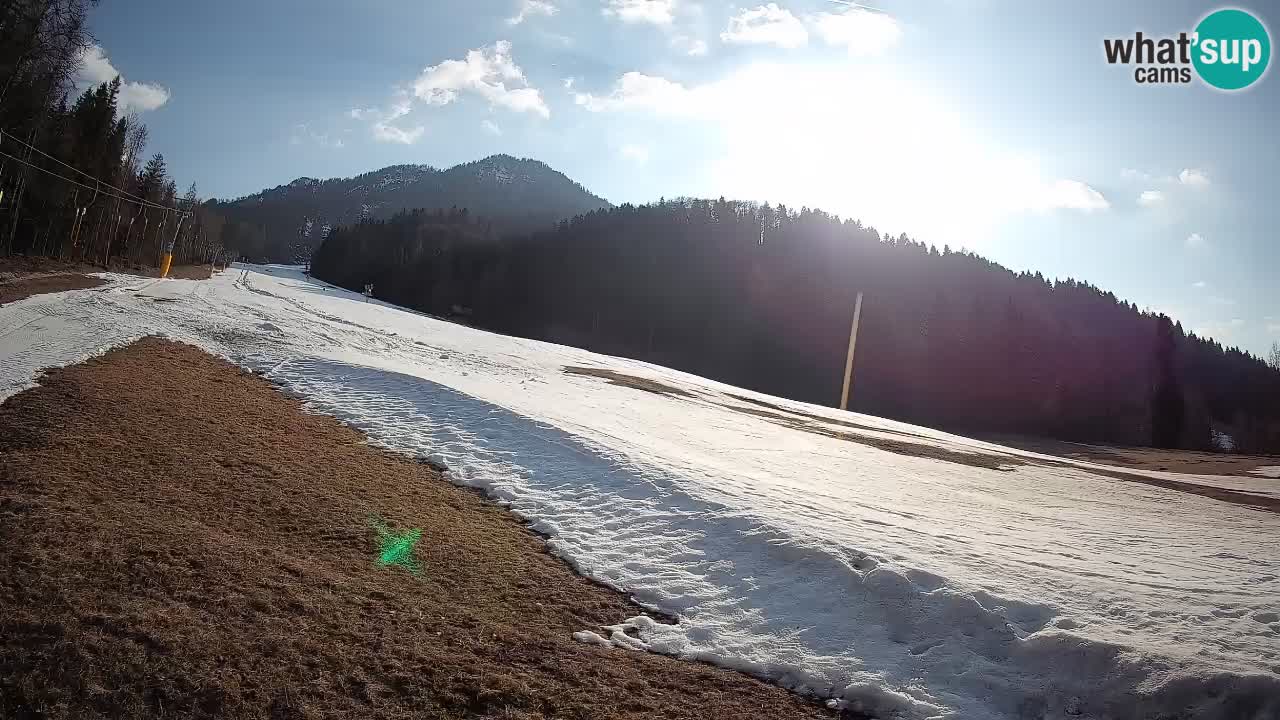 RTC Skigebiet Kranjska Gora | Brsnina