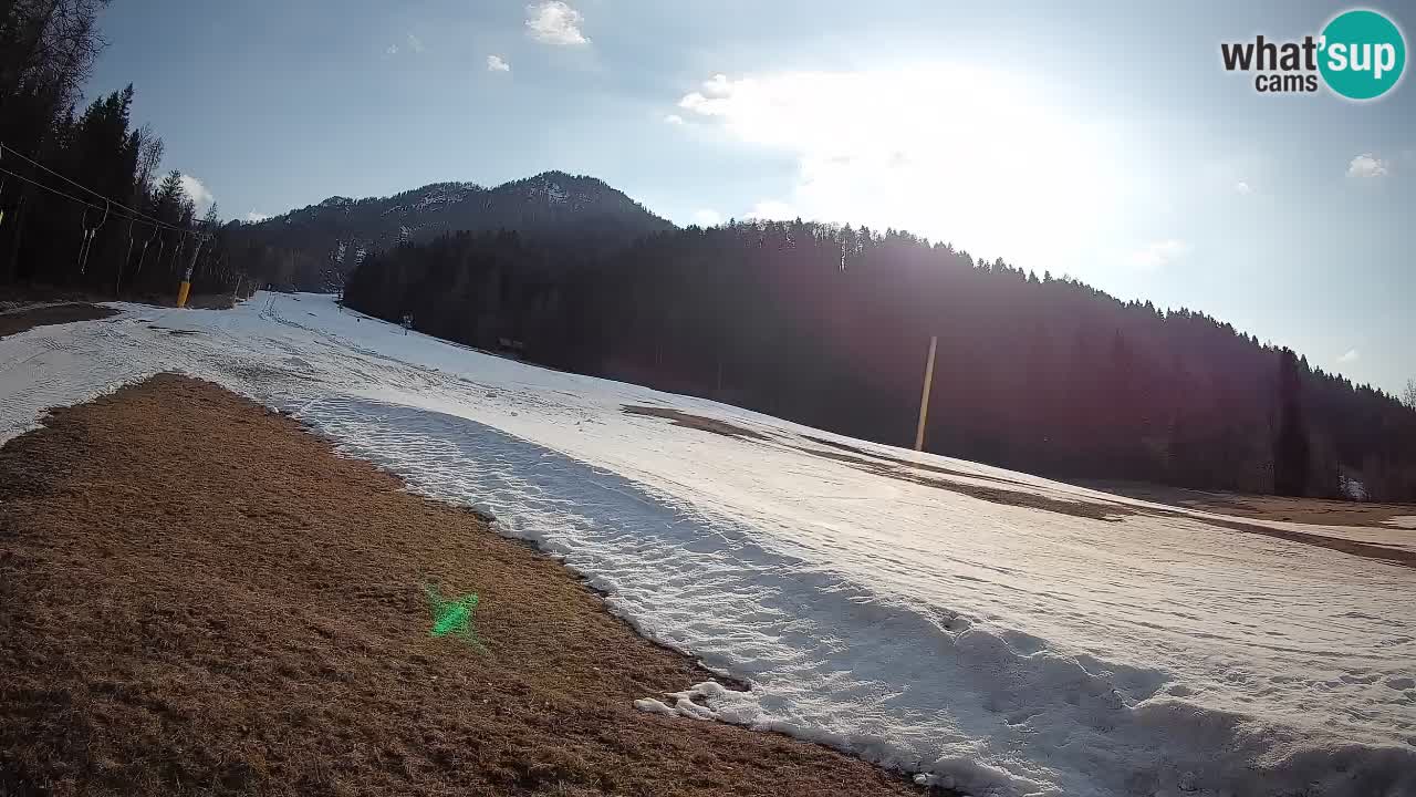 Kranjska Gora SKIJANJE | Brsnina