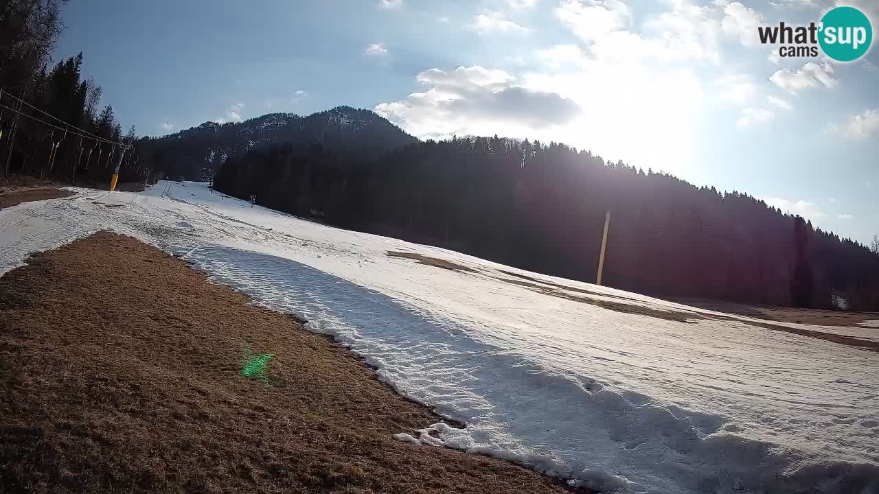 Kranjska Gora SKIJANJE | Brsnina