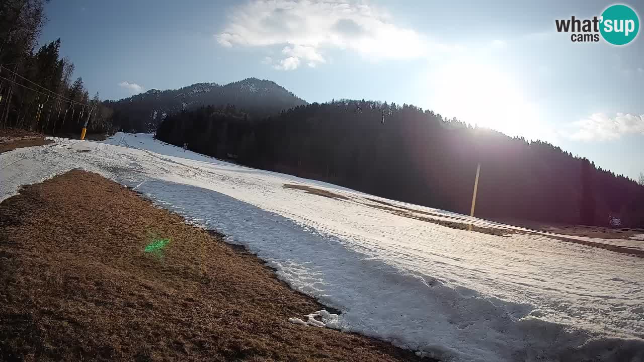 Kranjska Gora Station de ski | Brsnina