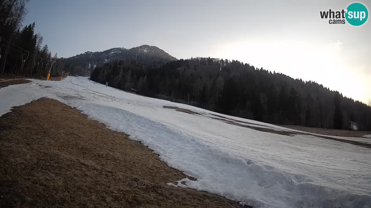 RTC Skigebiet Kranjska Gora | Brsnina