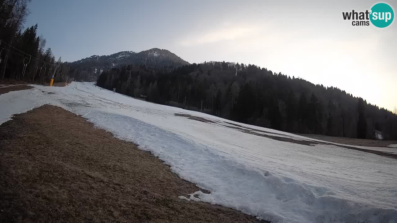 Kranjska Gora Station de ski | Brsnina