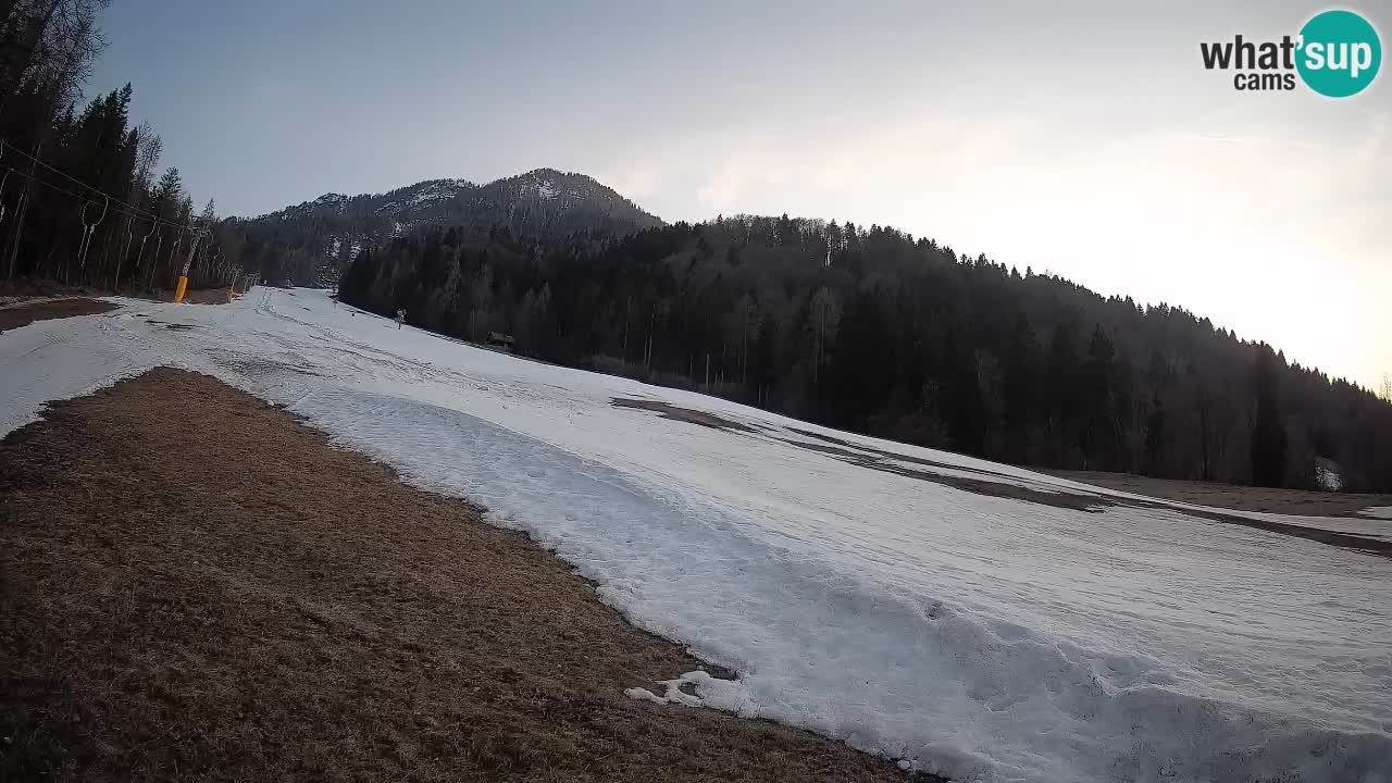 RTC Skigebiet Kranjska Gora | Brsnina