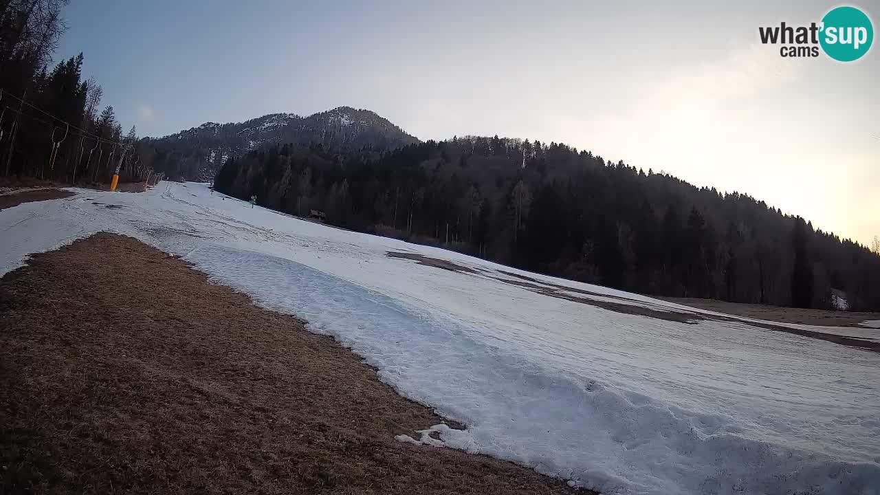 RTC Skigebiet Kranjska Gora | Brsnina