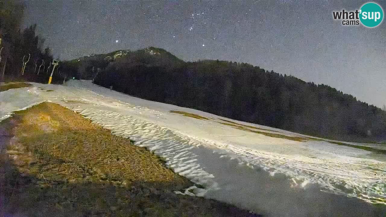 Ski Kranjska Gora | Brsnina