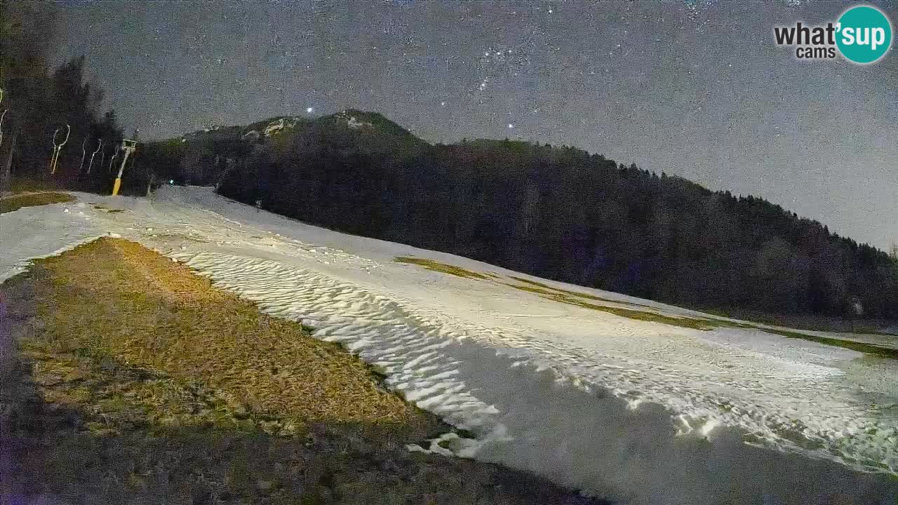 Esquí Kranjska Gora | Brsnina