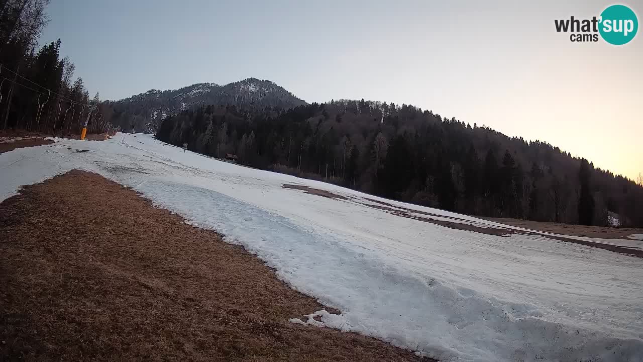 Kranjska Gora Station de ski | Brsnina