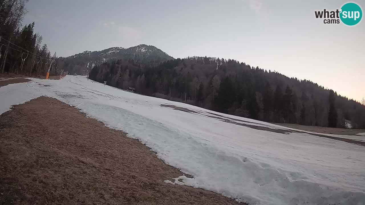 RTC Kranjska Gora | Brsnina