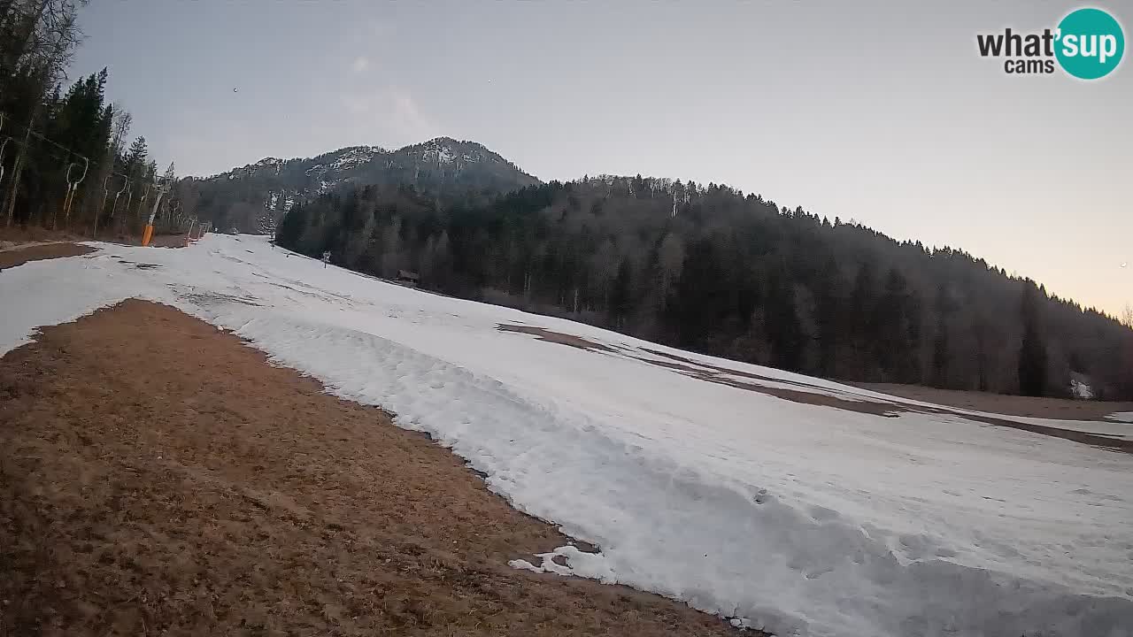 Ski Kranjska Gora | Brsnina