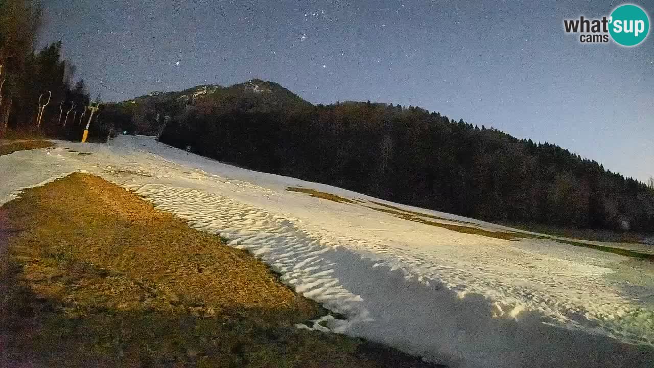 Ski Kranjska Gora | Brsnina