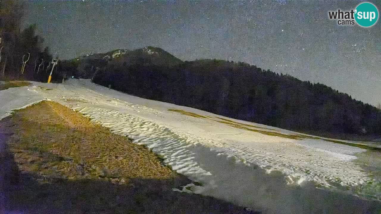 Ski Kranjska Gora | Brsnina