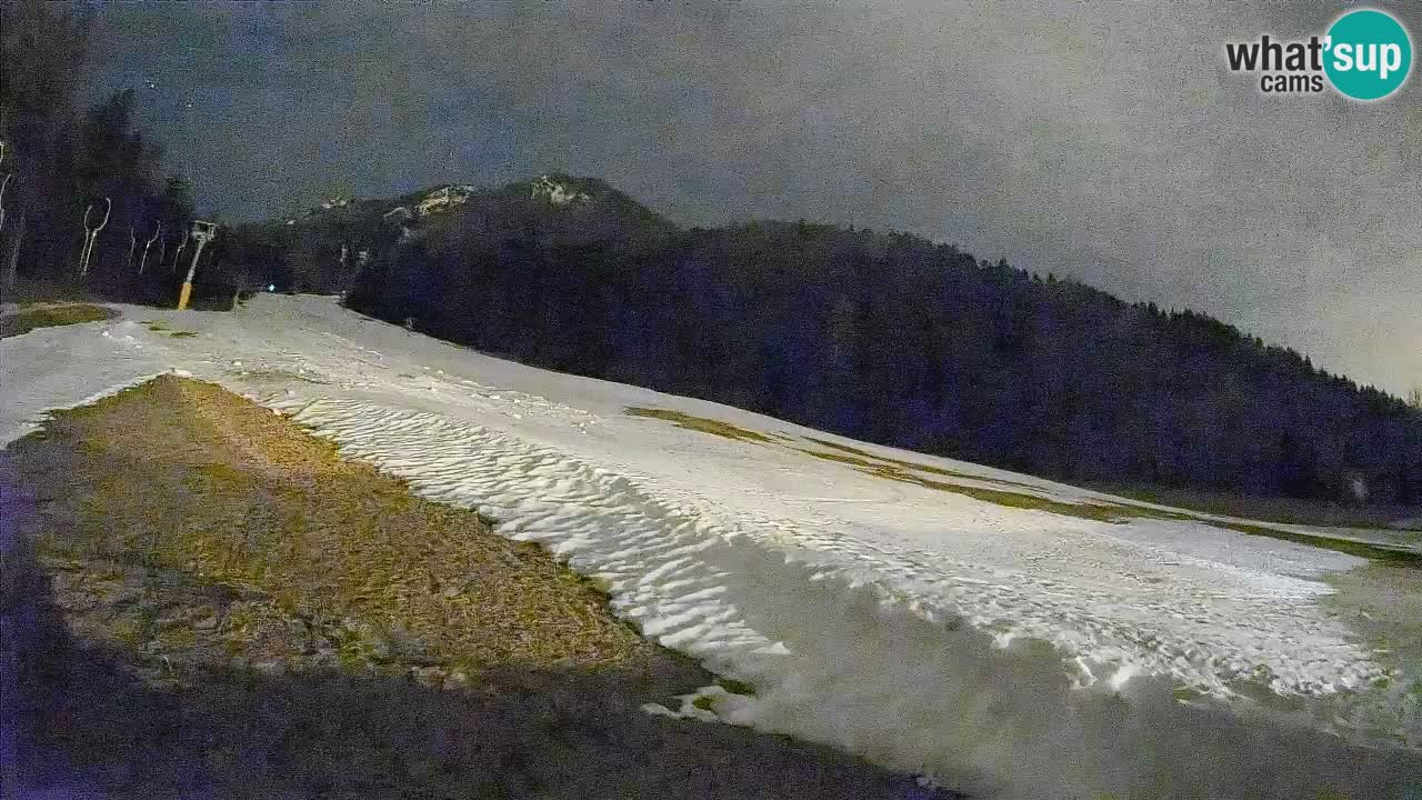 Esquí Kranjska Gora | Brsnina