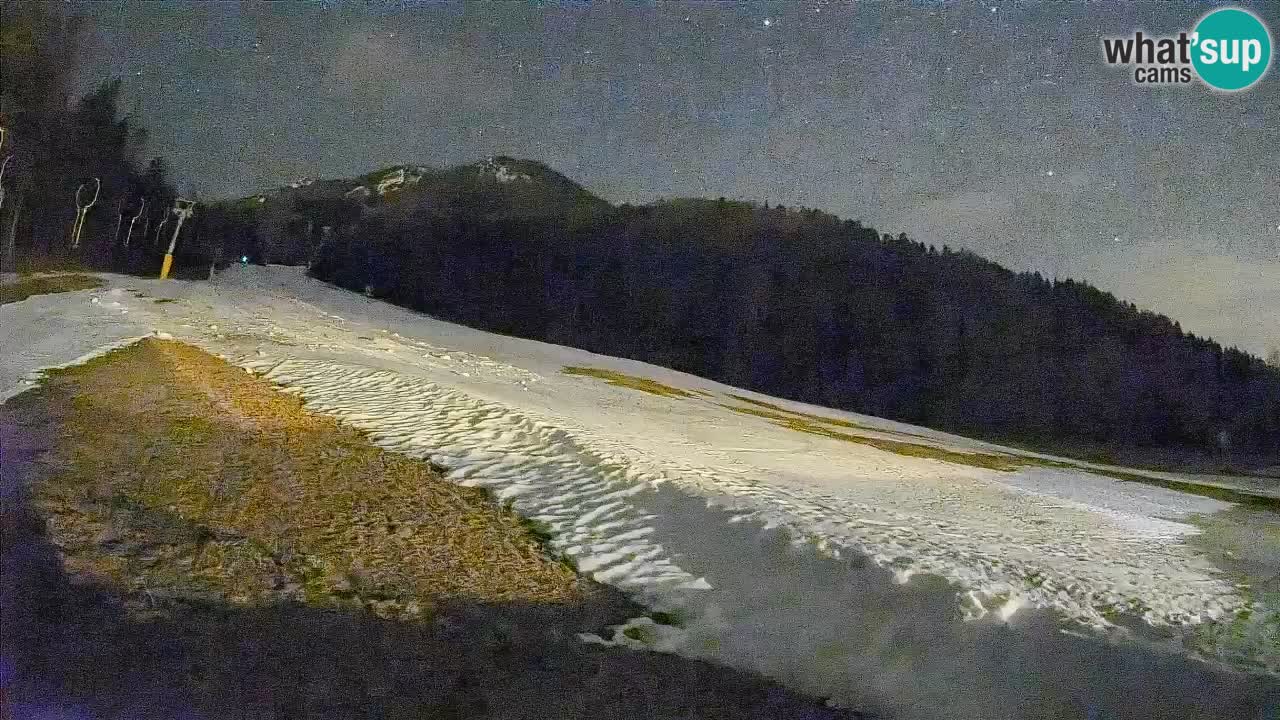 Kranjska Gora Station de ski | Brsnina