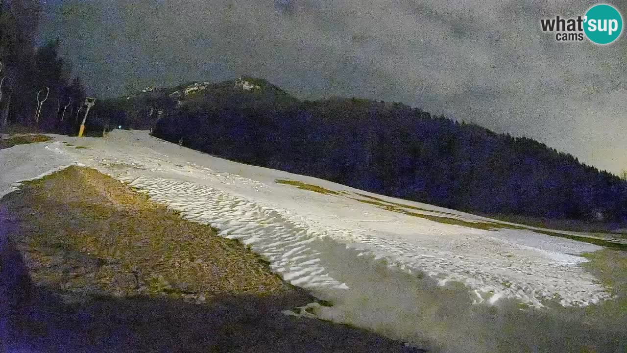 Comprensorio sciistico Kranjska Gora | Brsnina