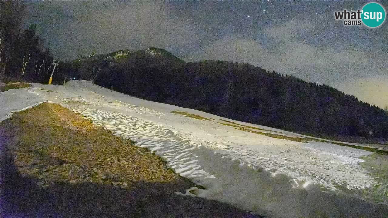 Ski Kranjska Gora | Brsnina