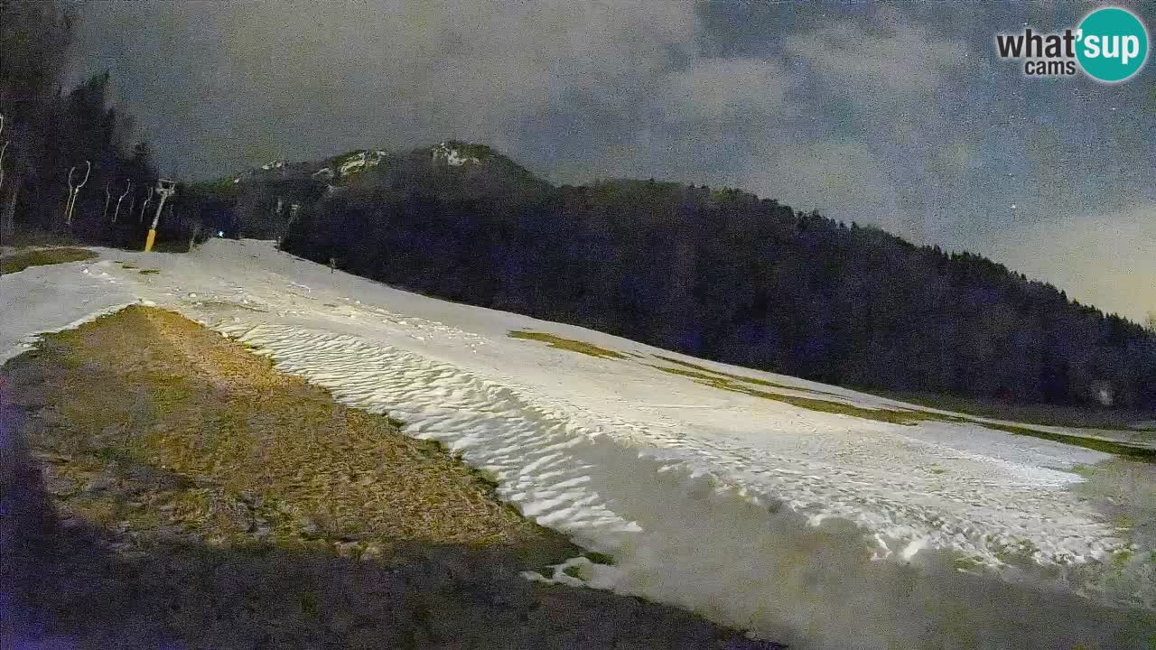 Ski Kranjska Gora | Brsnina