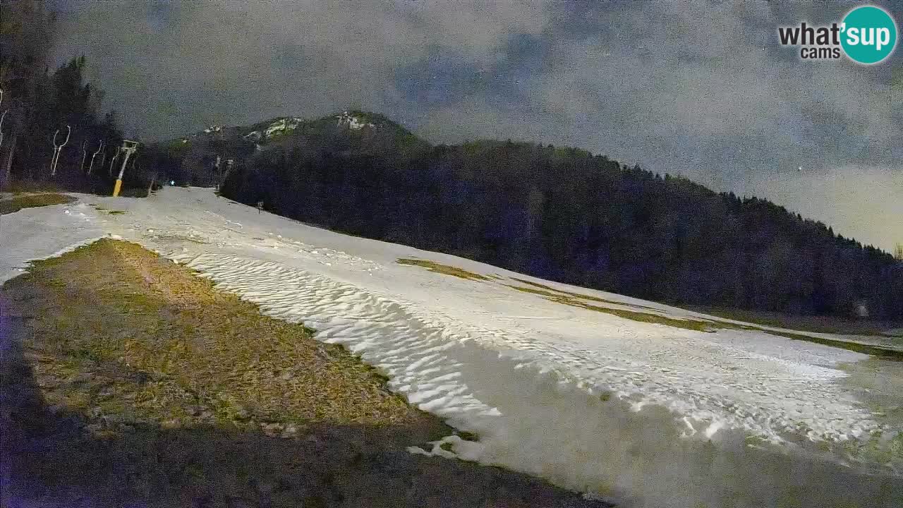 Comprensorio sciistico Kranjska Gora | Brsnina