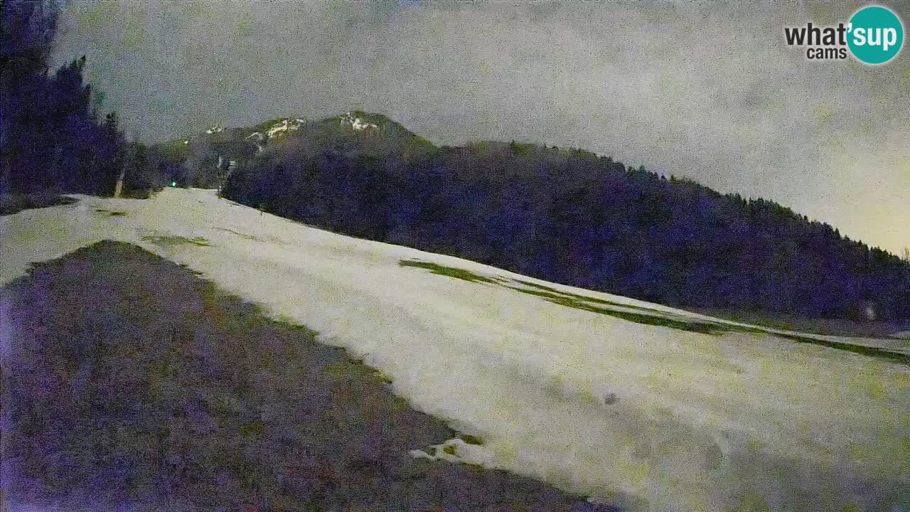 Kranjska Gora Station de ski | Brsnina