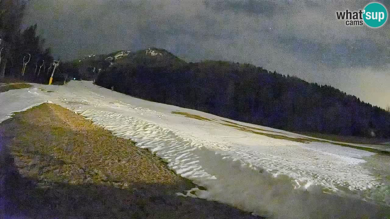 RTC Skigebiet Kranjska Gora | Brsnina