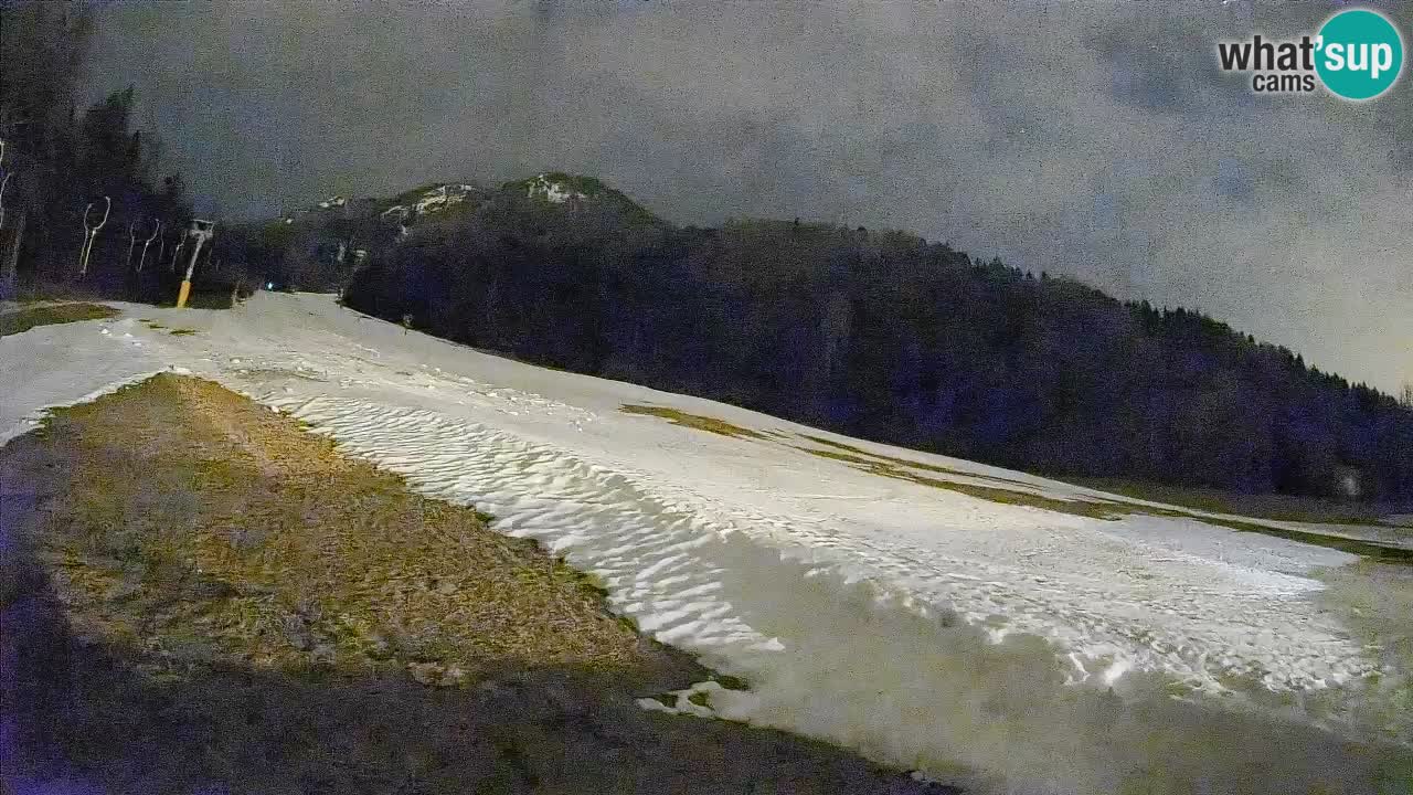 Ski Kranjska Gora | Brsnina