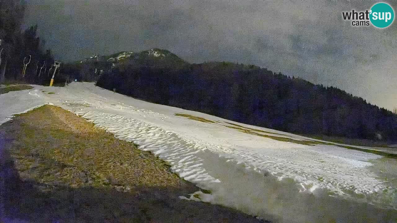 Kranjska Gora SKIJANJE | Brsnina