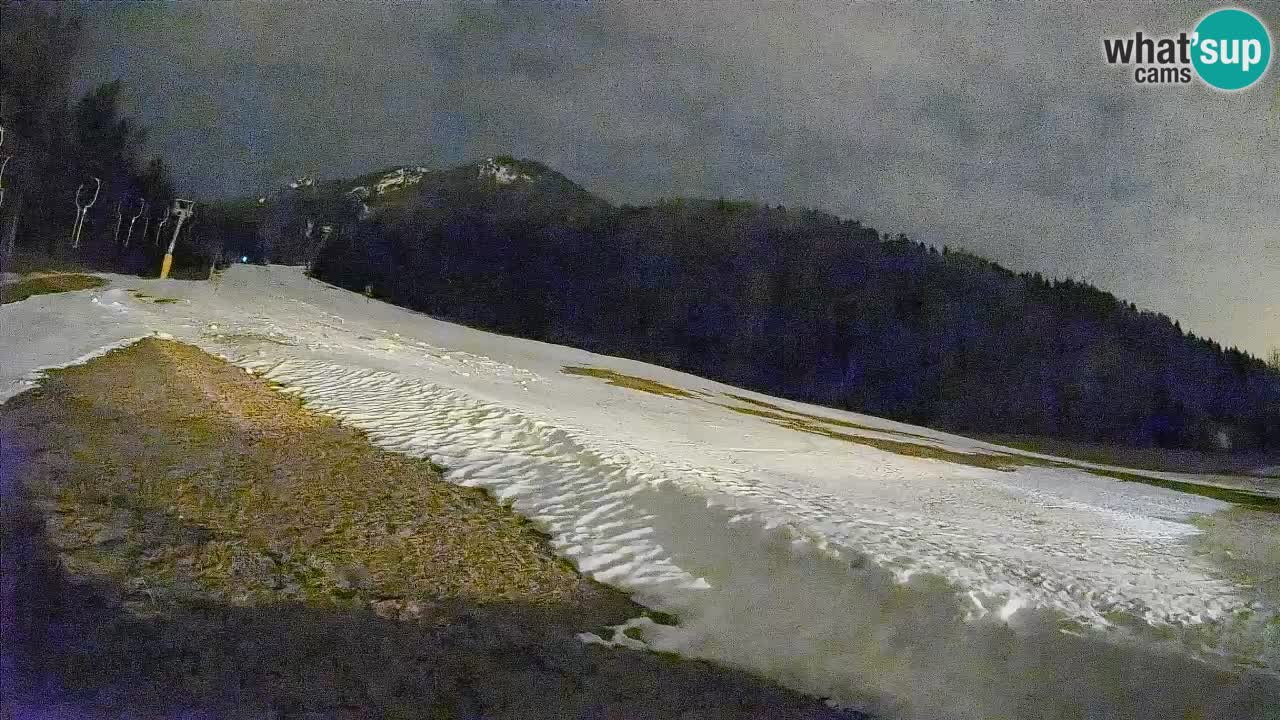 RTC Kranjska Gora | Brsnina